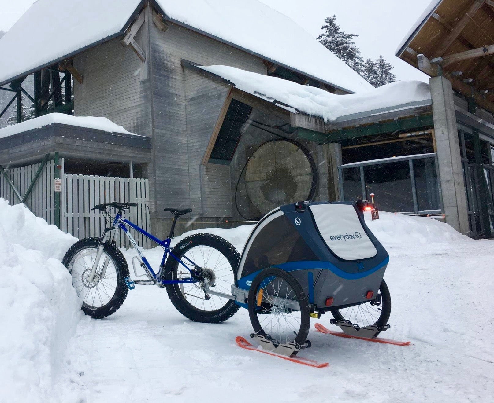 RX2 POLAR SKI SET - 2 Set