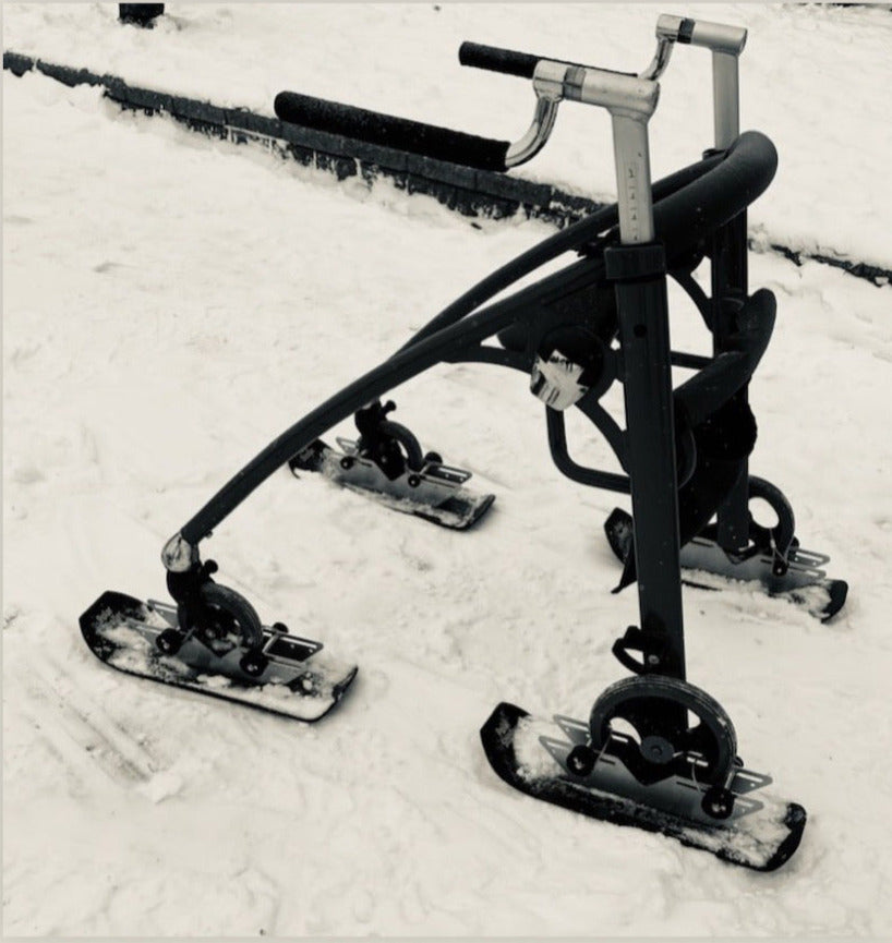 2X2 POLAR SKI SET
