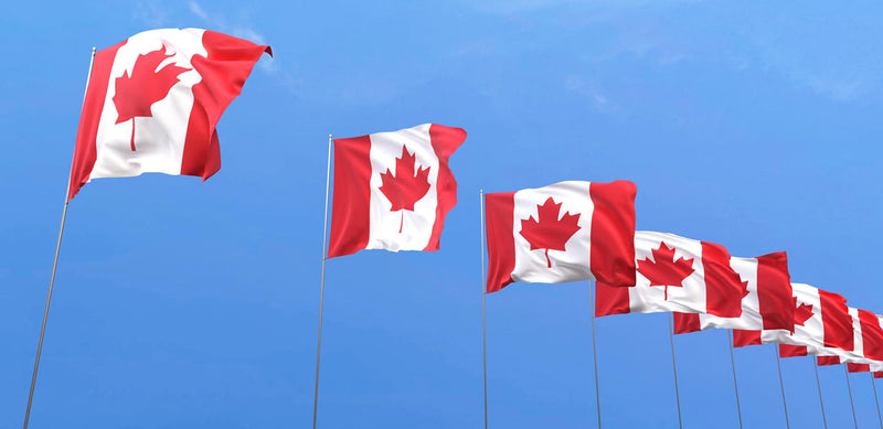 <span>02.</span> We’re Canadian