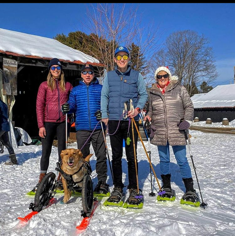 Family with dog on skis in a snowy setting, posted on a social media platform.